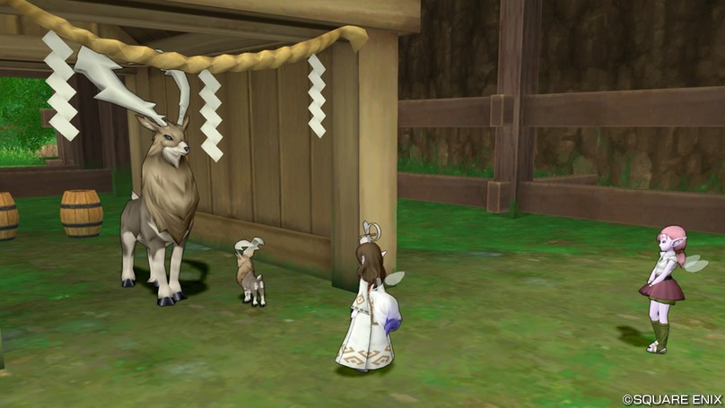 ウチの仔カムシカを…