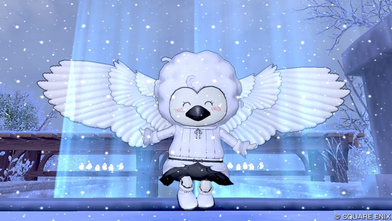 1月20日はシマエナガの日