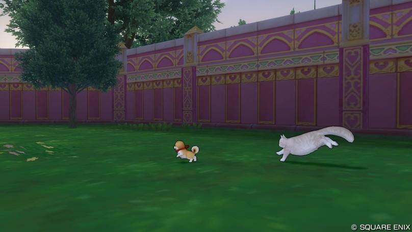 私のネコちゃんに追い回される恐怖(?)