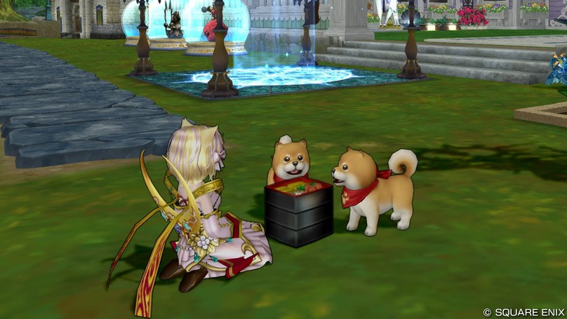 残り物にわんこが集まる