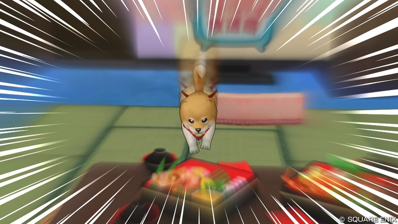 おせちを狙うモノ