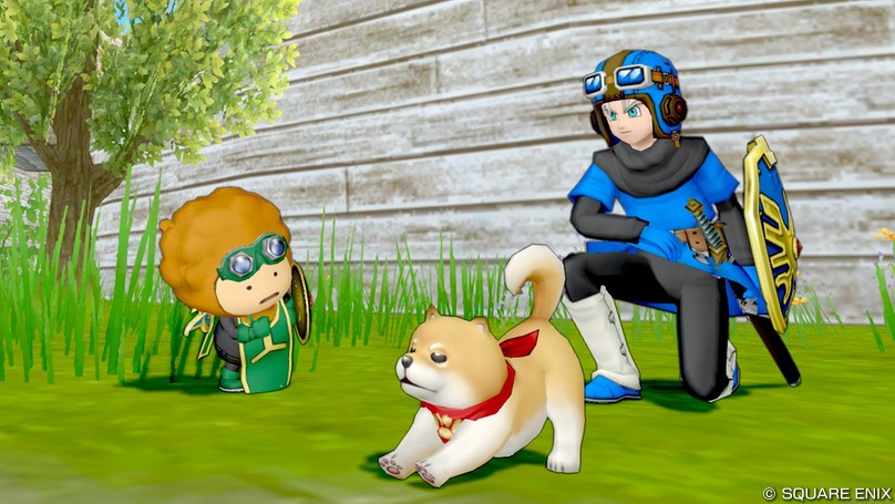 ムーンペタの町