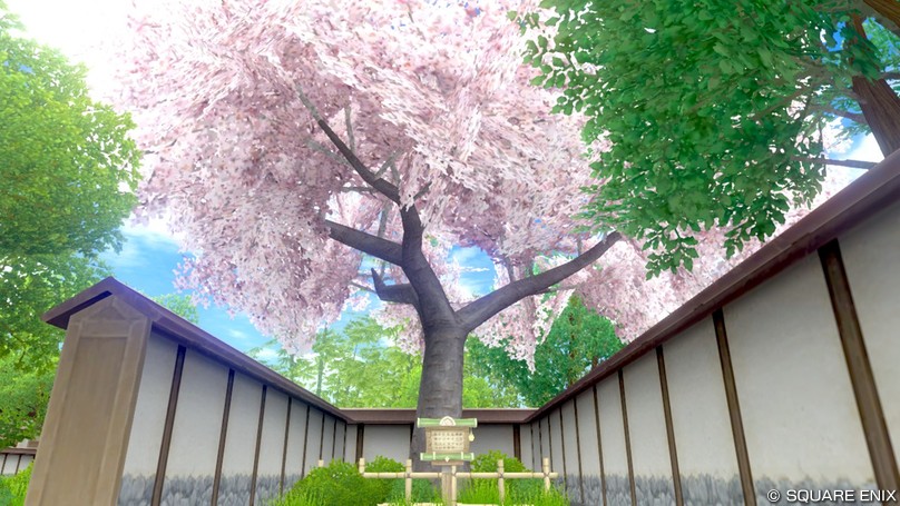 王都カミハルムイ南のはぐれ桜