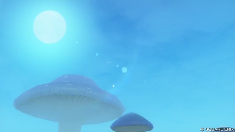 キノコと太陽と青い空