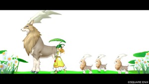 カムシカといっしょ