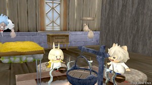 ９９日後に破局するプク　９１日目