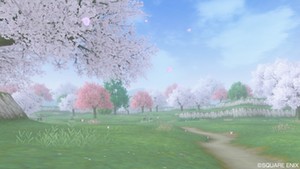 桜が散り始める季節ですが