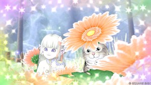 春の花咲くにゃんこ日和
