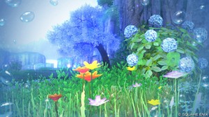 梅雨入りしましたね。